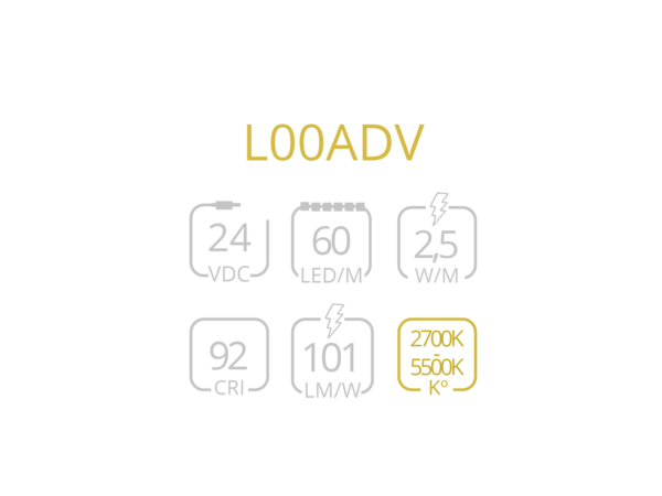 L00ADV