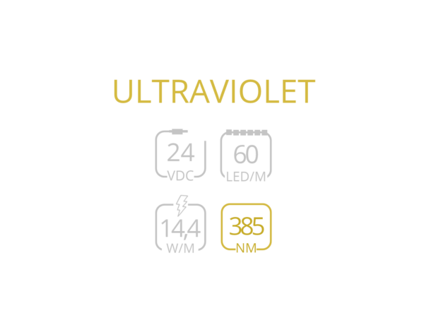 ULTRAVIOLET