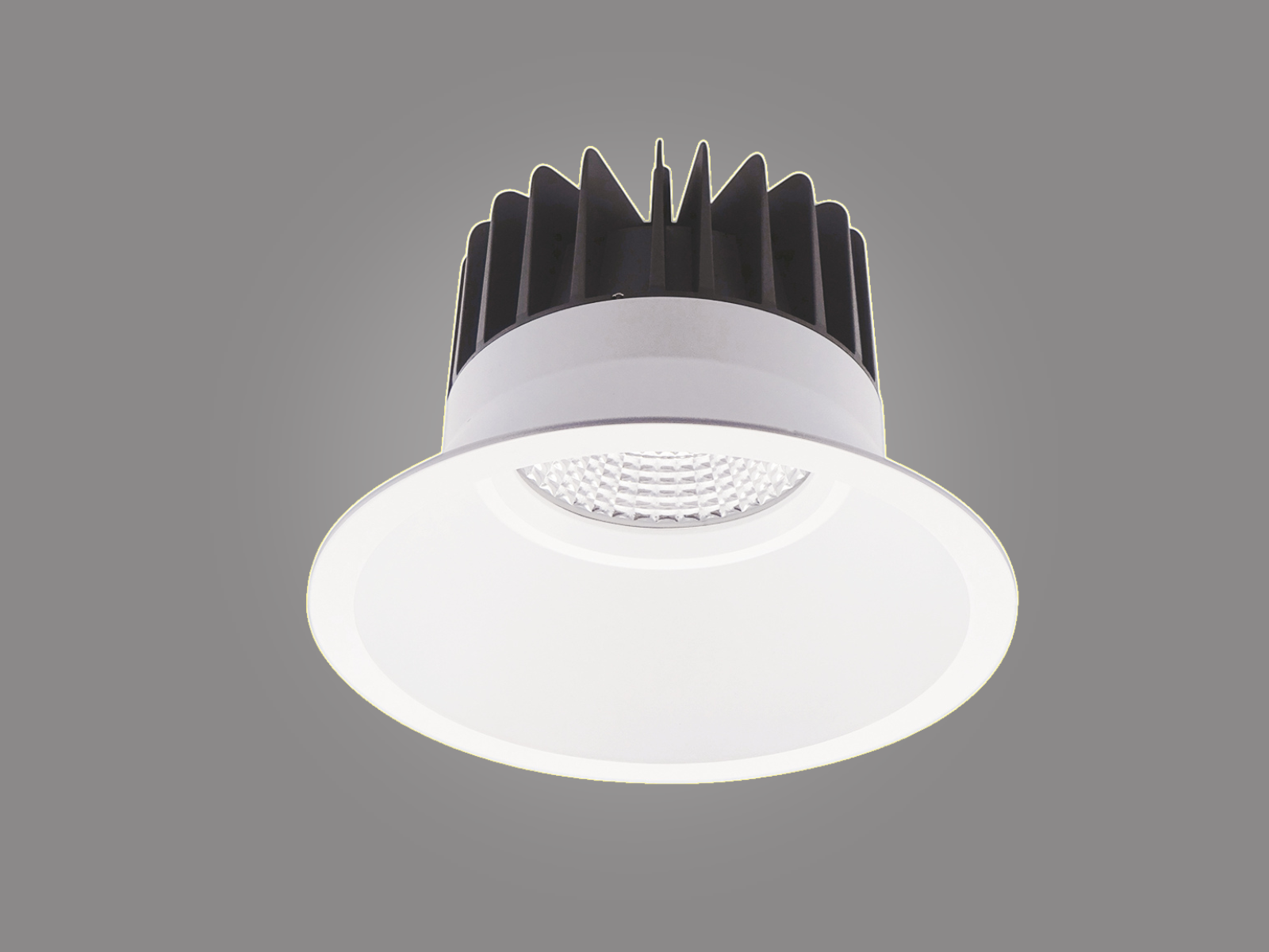 CONFORT 24L