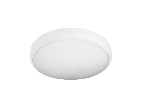 DOWNLIGHT