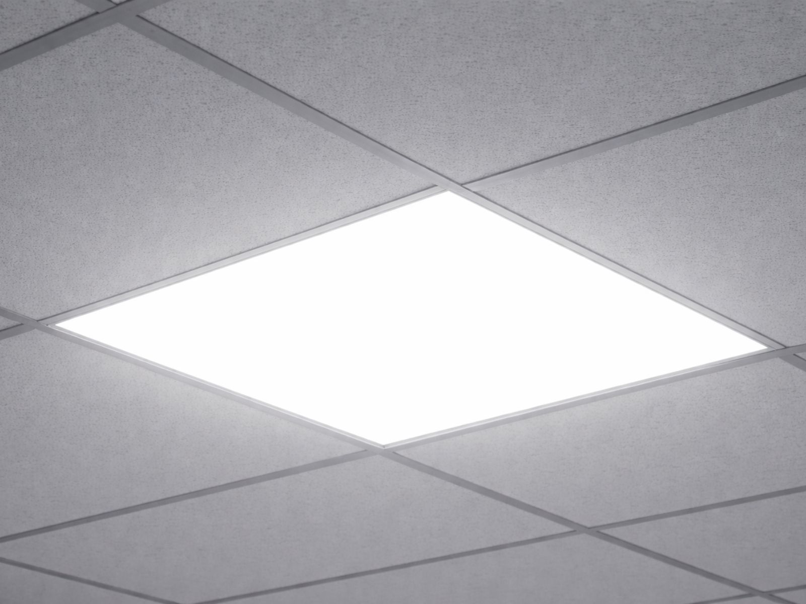 luminer_panel_new copia