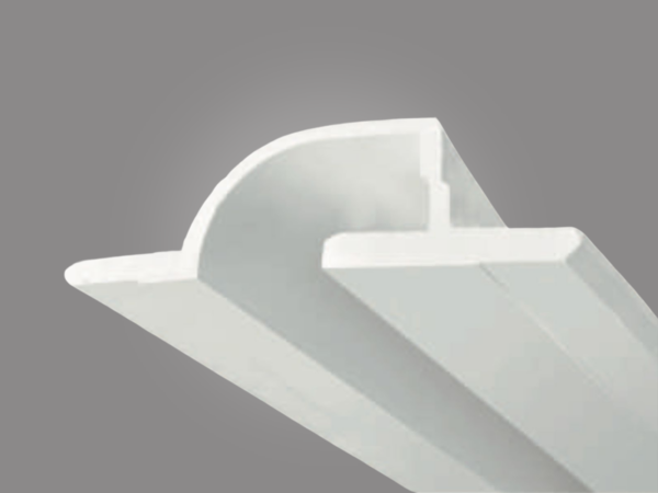 MUN PROFILE