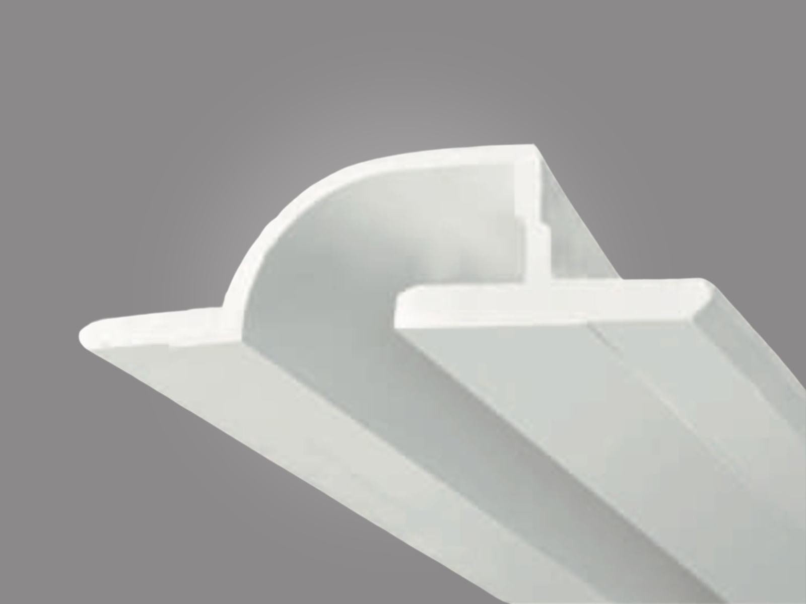 MUN PROFILE